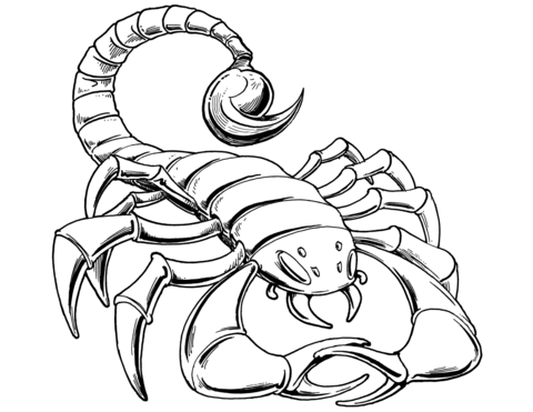 Prehistoric Scorpion Coloring Page